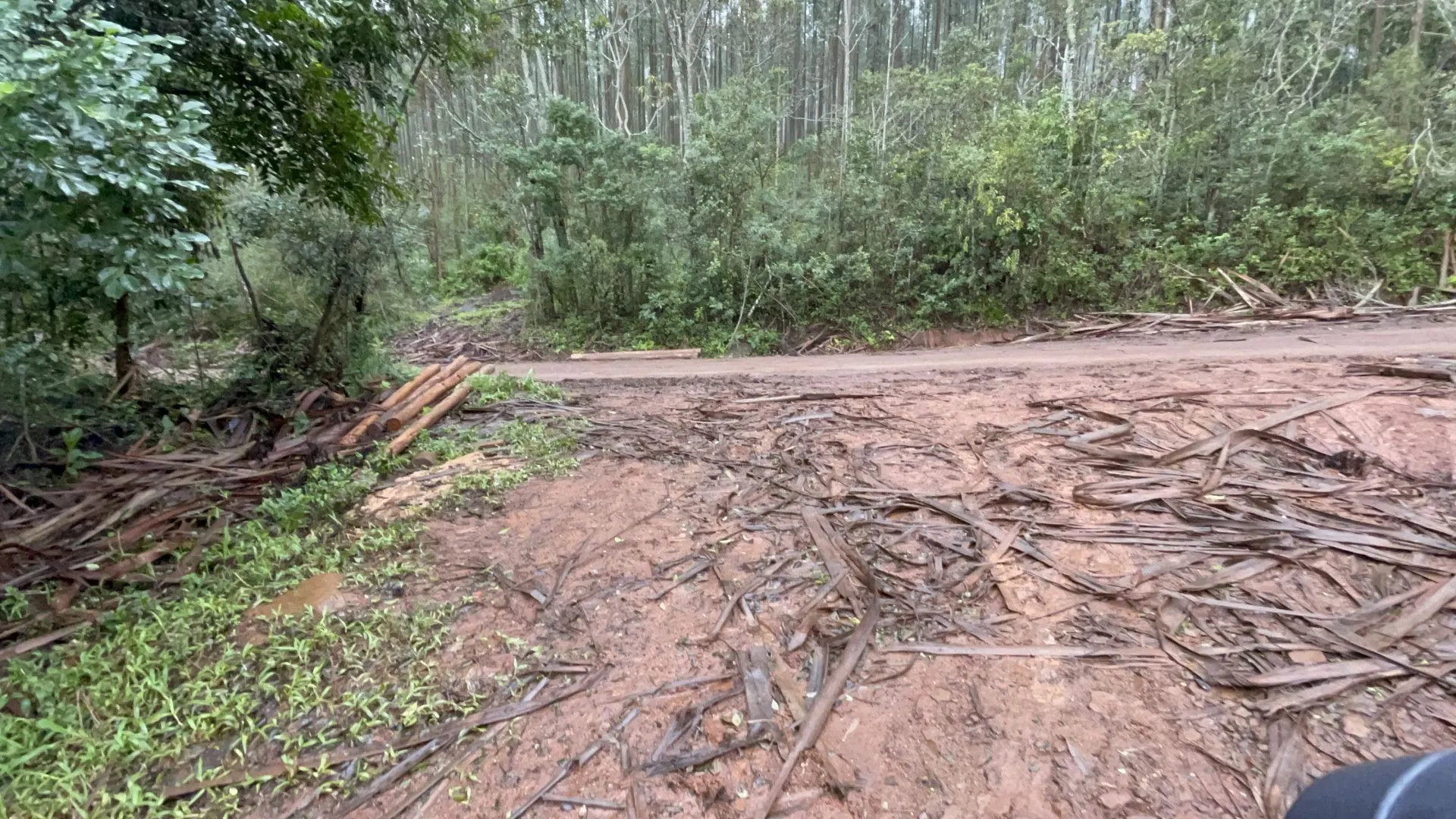 Sítio à venda e para Arrendar de 7 ha em Santo Antônio da Patrulha, RS, Brasil