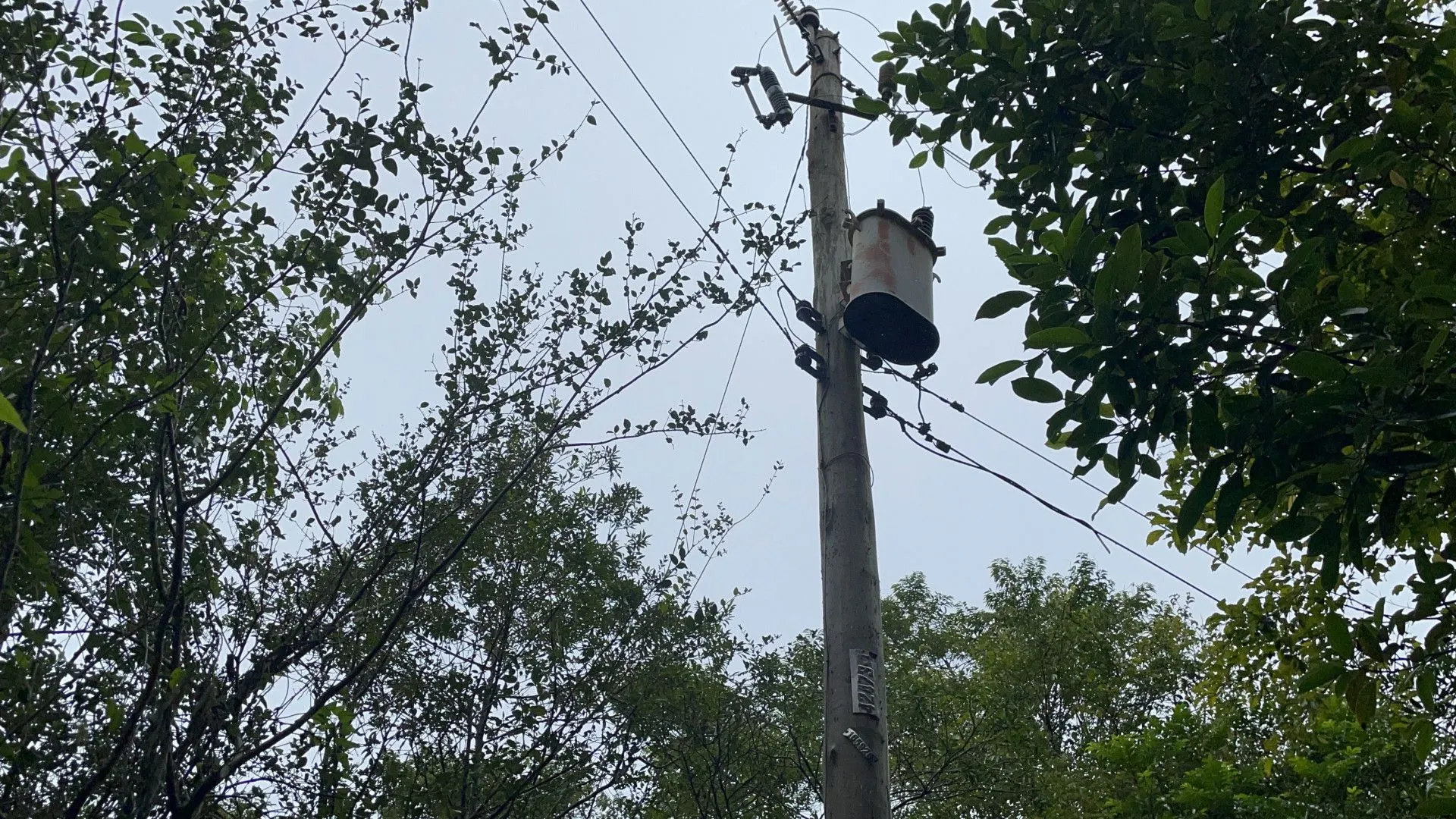 Sítio à venda e para Arrendar de 7 ha em Santo Antônio da Patrulha, RS, Brasil