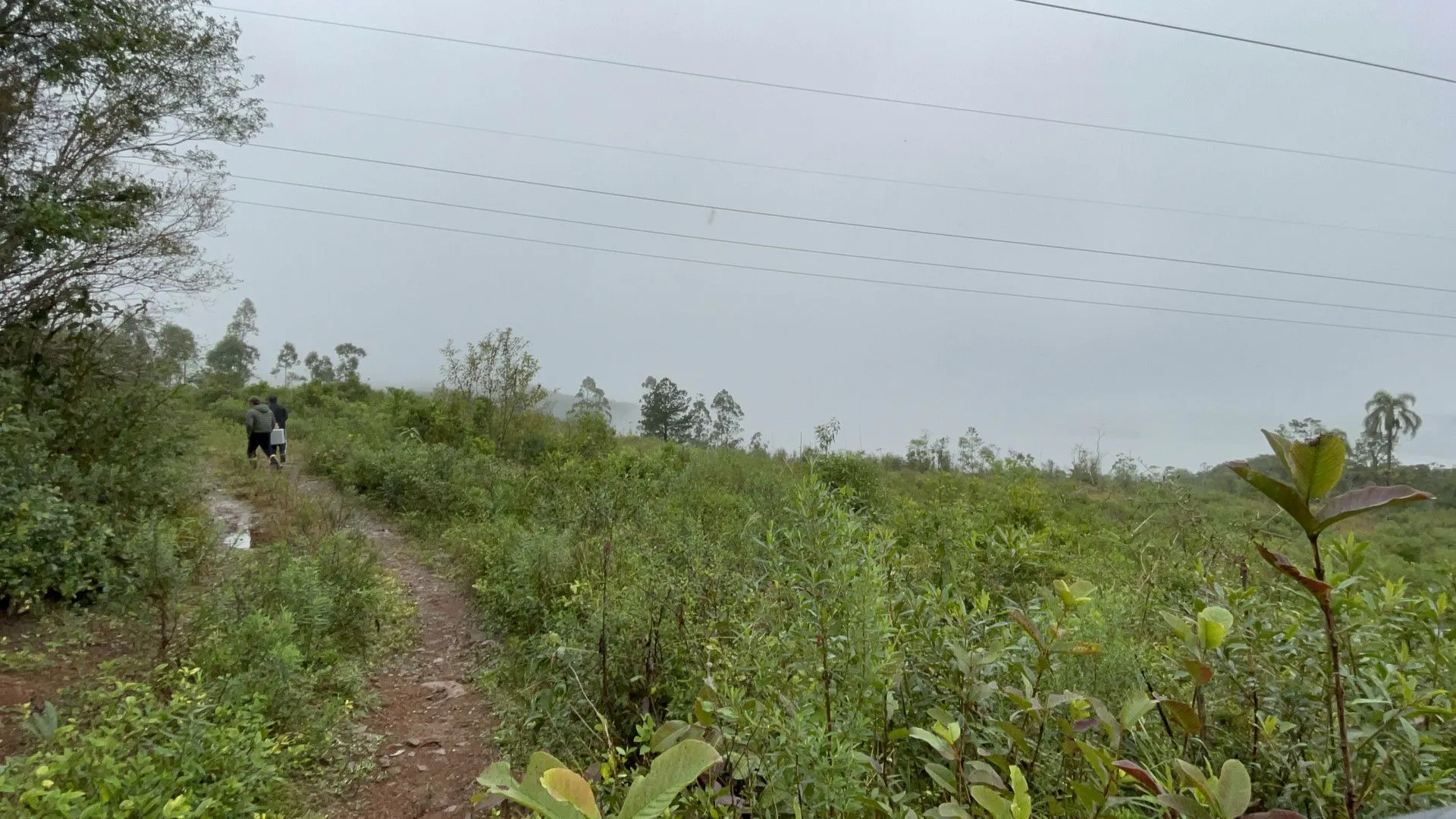 Sítio à venda e para Arrendar de 7 ha em Santo Antônio da Patrulha, RS, Brasil
