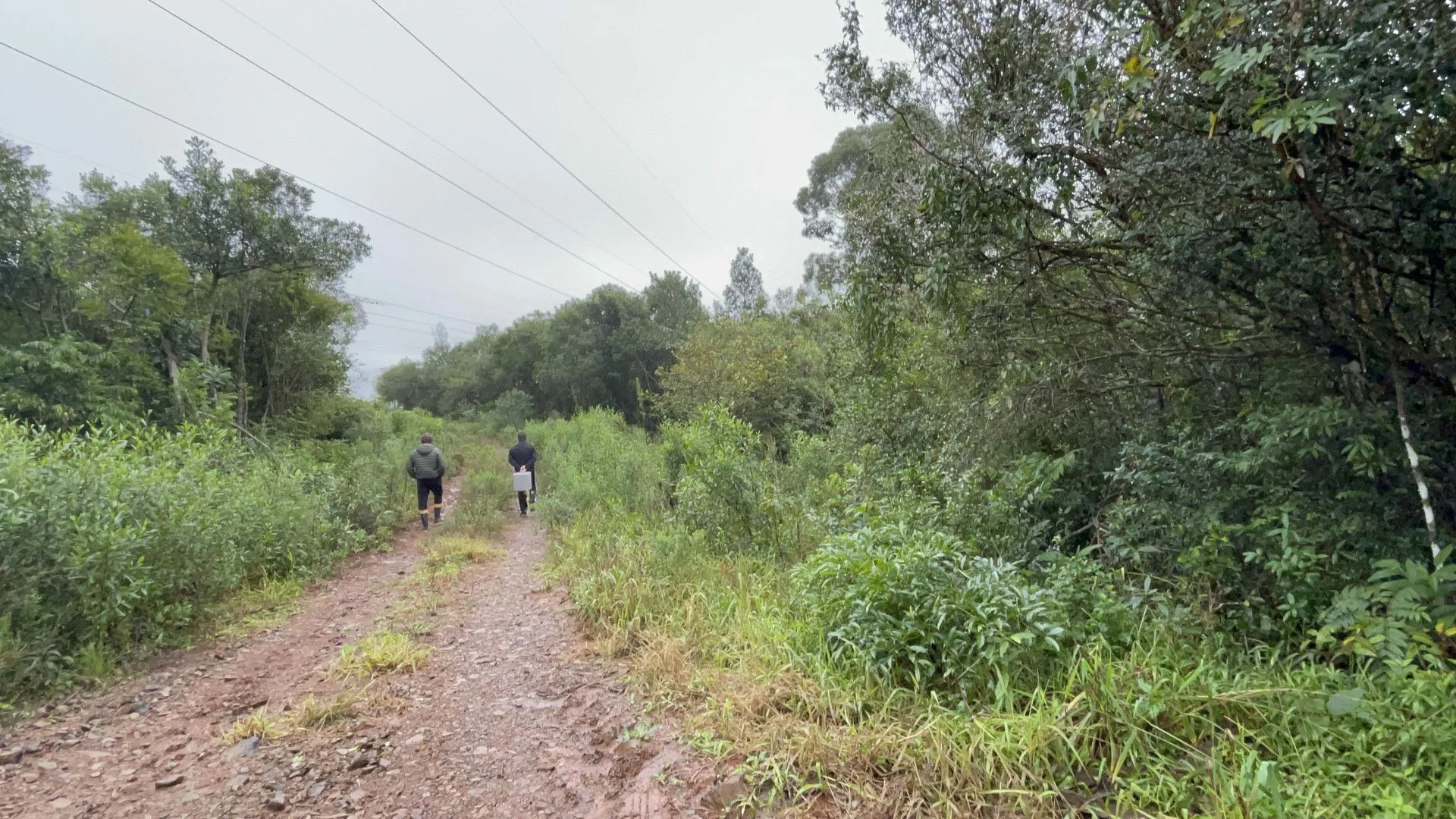 Sítio à venda e para Arrendar de 7 ha em Santo Antônio da Patrulha, RS, Brasil