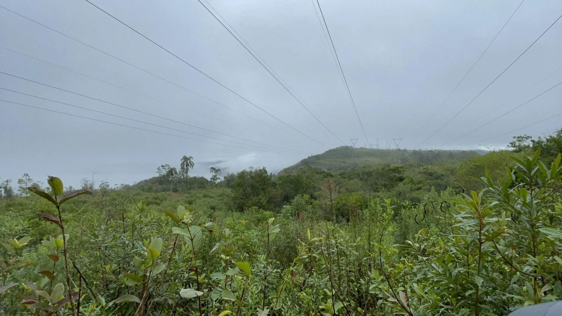 Sítio à venda e para Arrendar de 7 ha em Santo Antônio da Patrulha, RS, Brasil