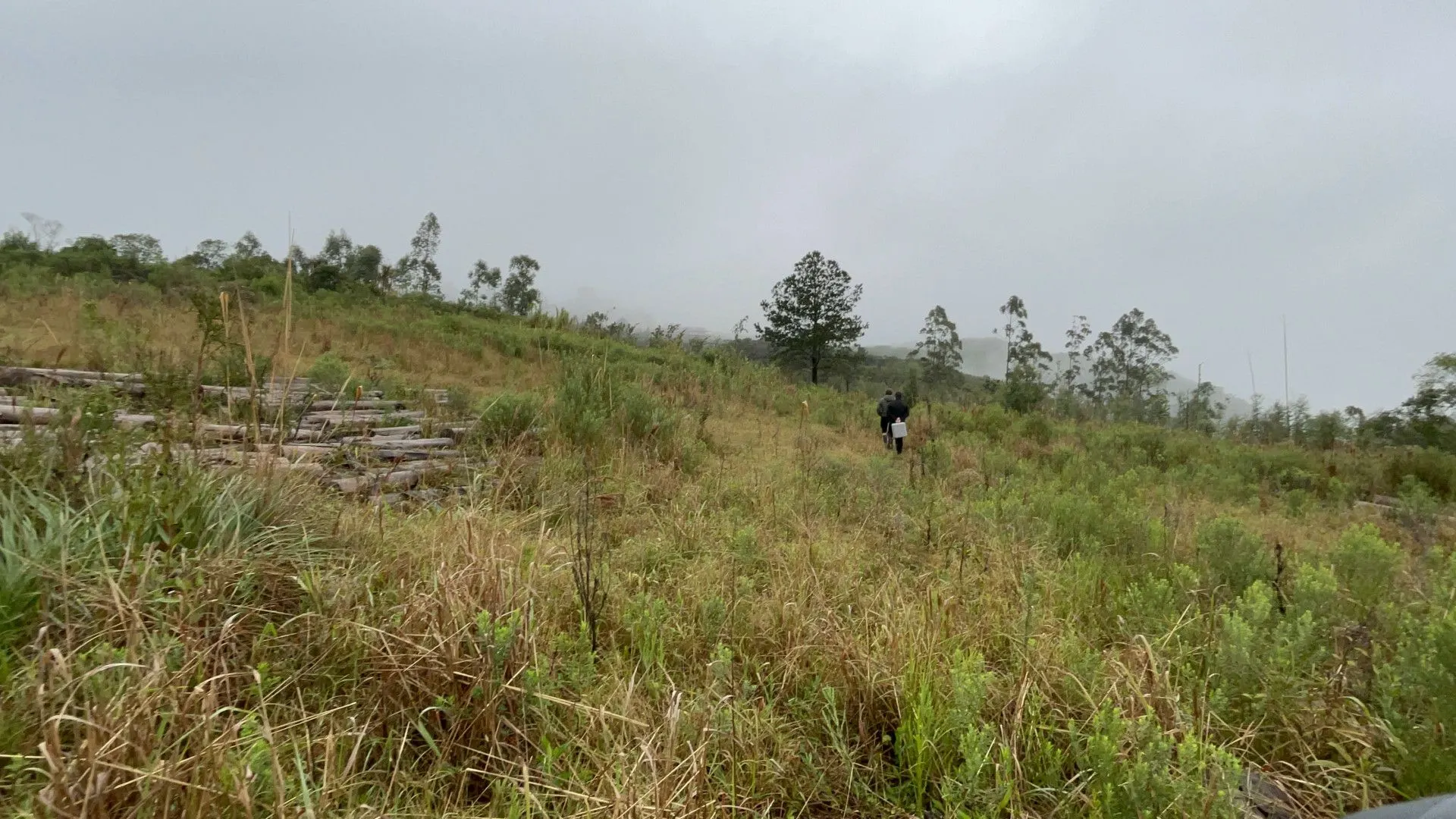 Sítio à venda e para Arrendar de 7 ha em Santo Antônio da Patrulha, RS, Brasil