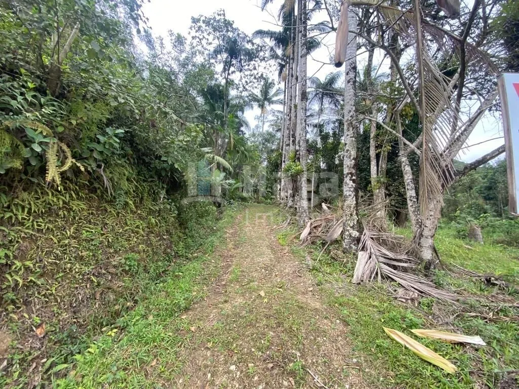 Country home for sale of 46 acres in Nova Trento, SC, Brazil