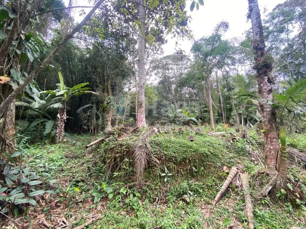Country home for sale of 46 acres in Nova Trento, SC, Brazil