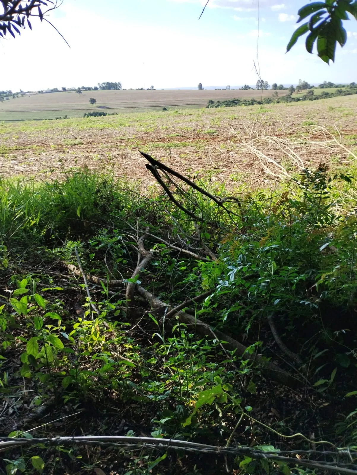 Fazenda à venda de 121 ha em Itapeva, SP, Brasil