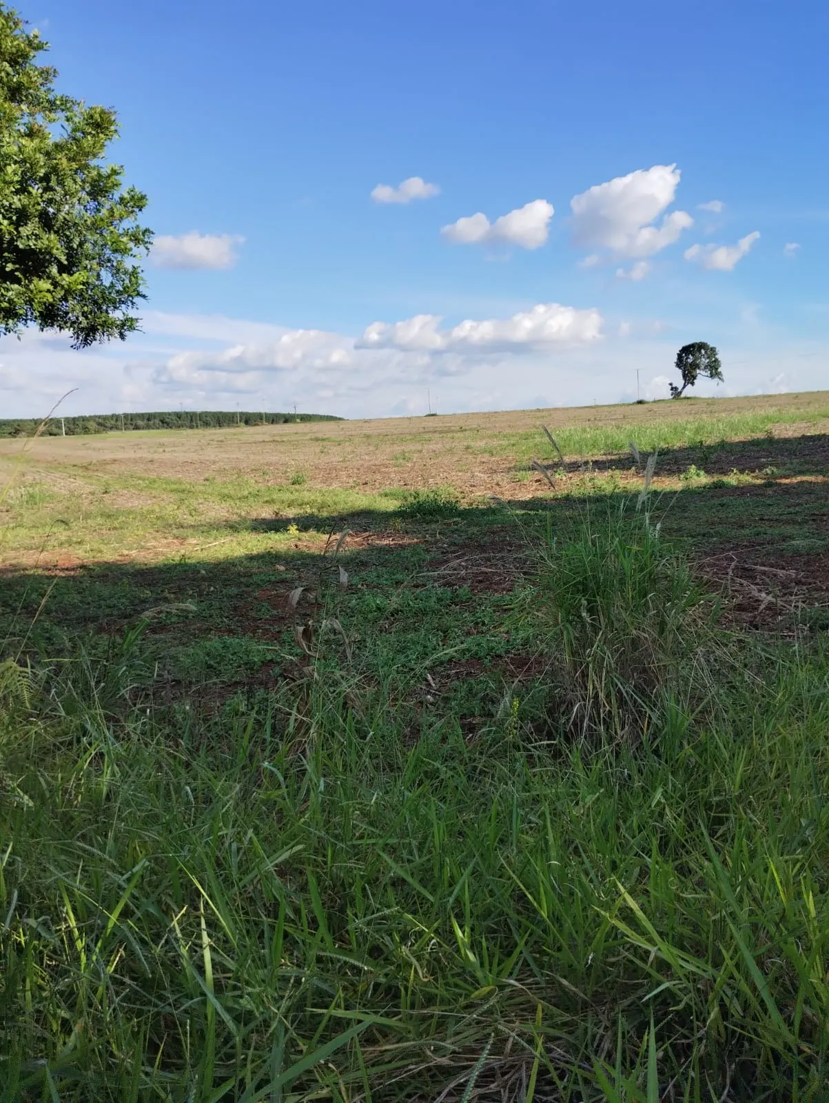 Fazenda à venda de 121 ha em Itapeva, SP, Brasil