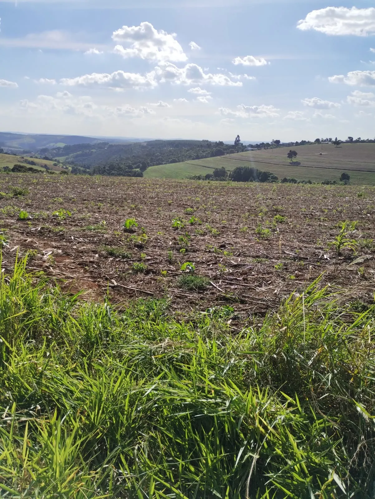 Fazenda à venda de 121 ha em Itapeva, SP, Brasil