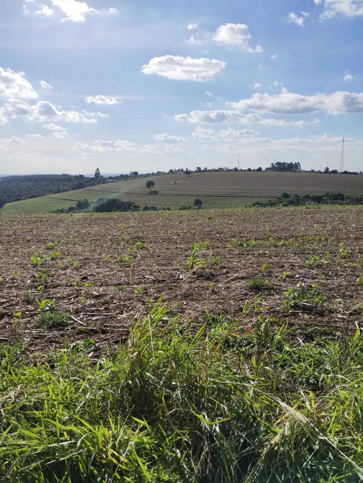 Fazenda à venda de 121 ha em Itapeva, SP, Brasil