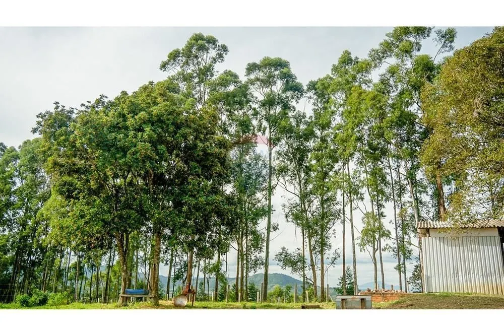 Fazenda à venda de 339 ha em Atibaia, SP, Brasil