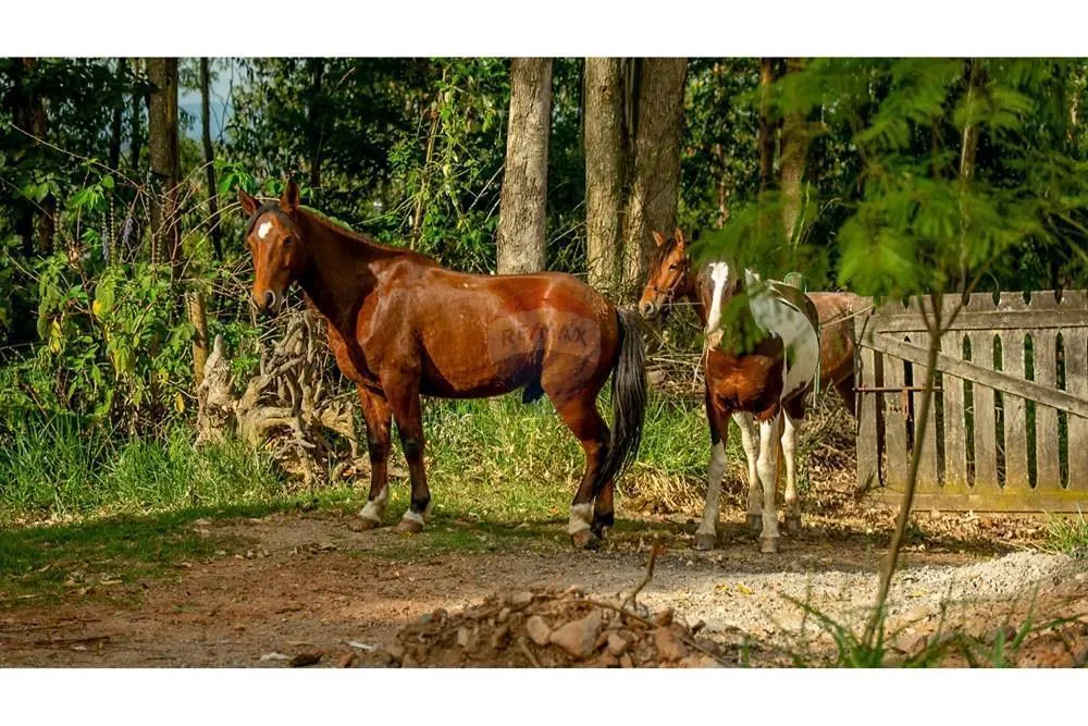 Fazenda à venda de 339 ha em Atibaia, SP, Brasil