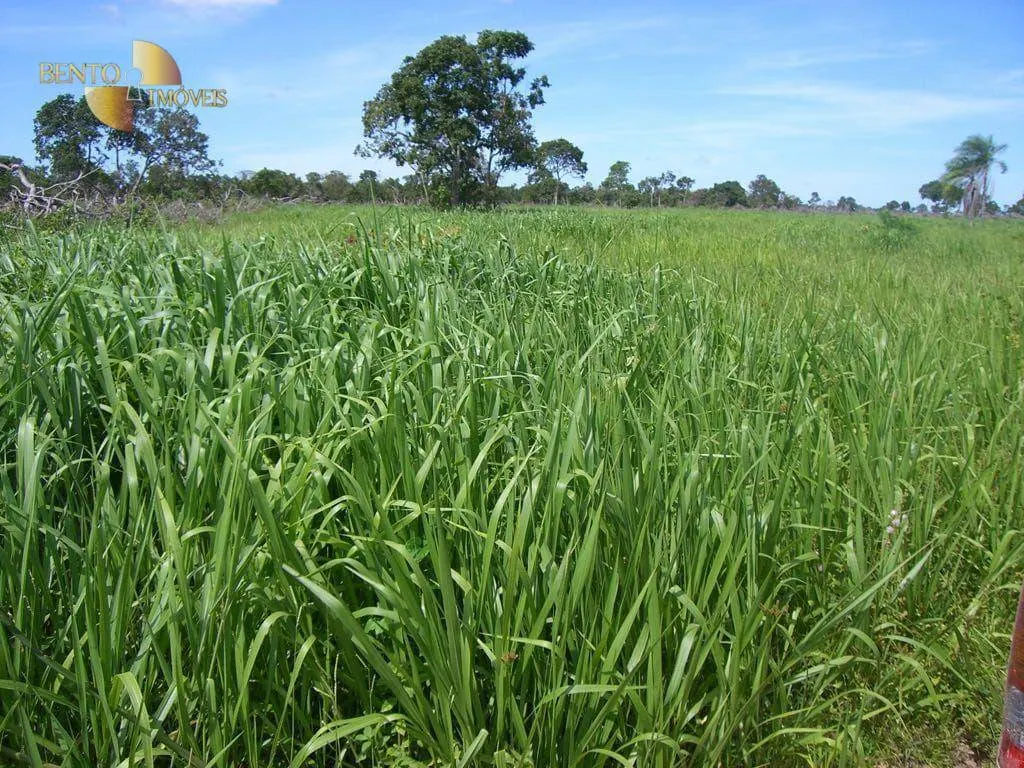 Fazenda à venda de 2.627 ha em Cáceres, MT, Brasil
