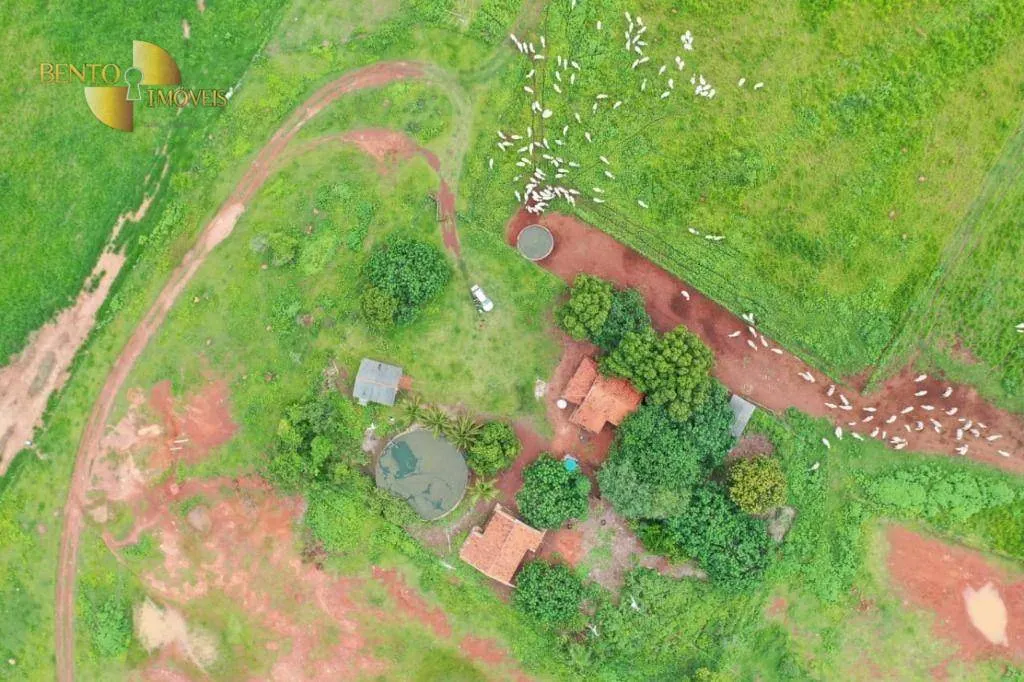 Fazenda à venda de 2.627 ha em Cáceres, MT, Brasil