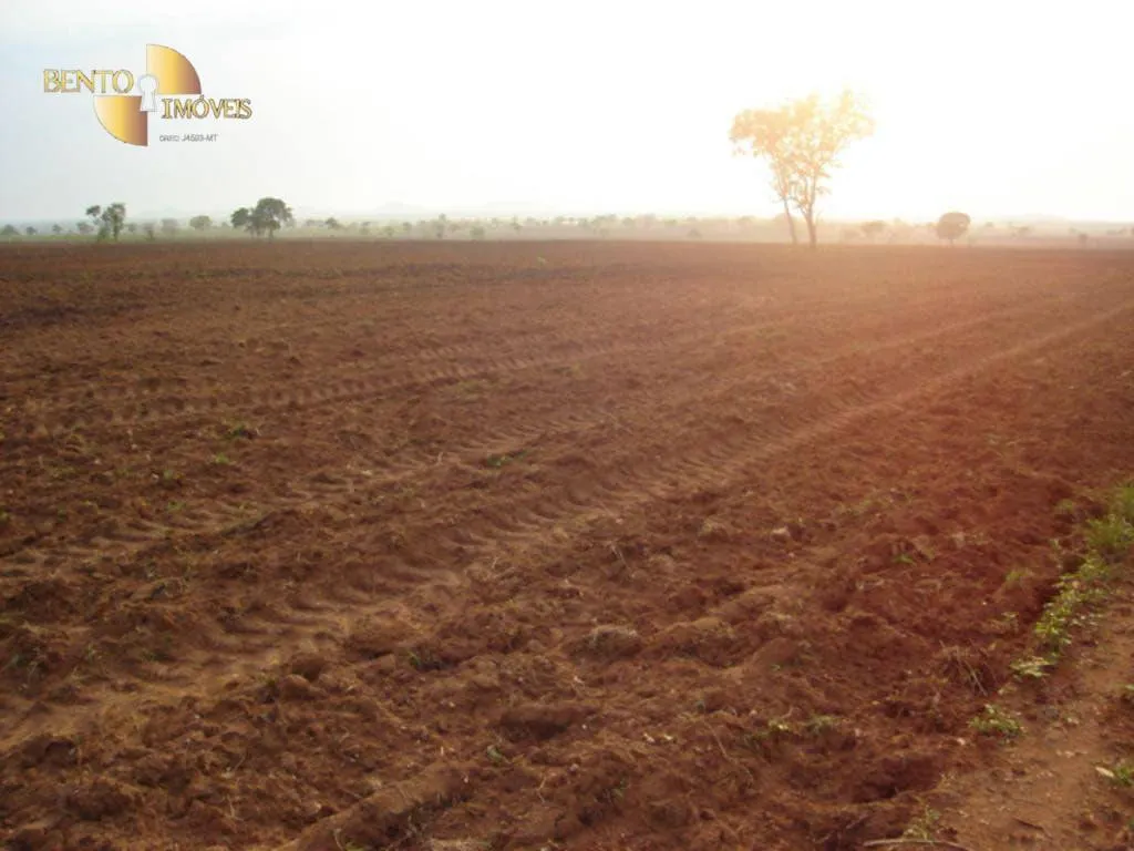 Fazenda à venda de 2.627 ha em Cáceres, MT, Brasil