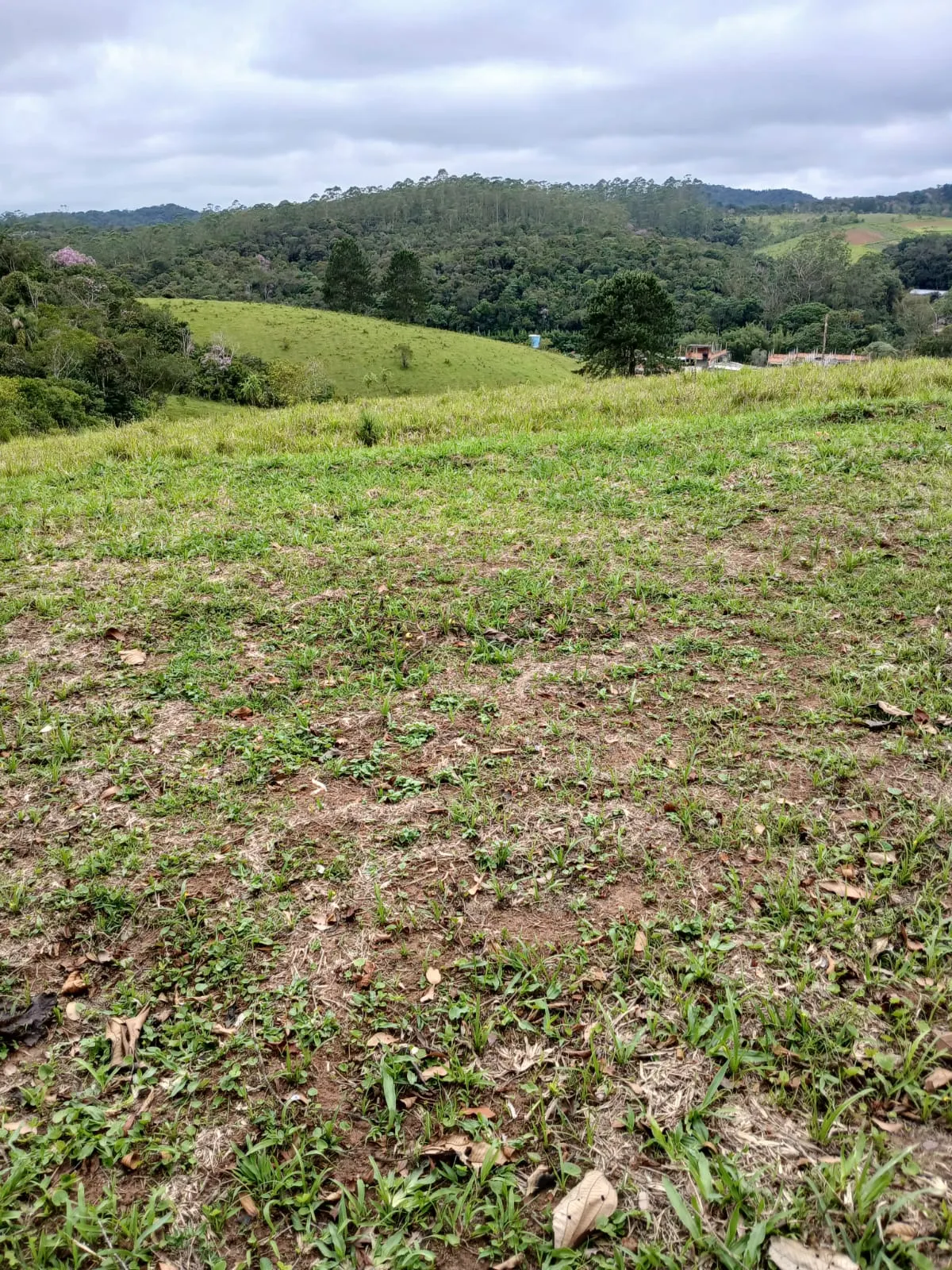 Chácara à venda e para Arrendar de 2.500 m² em São Paulo, SP, Brasil