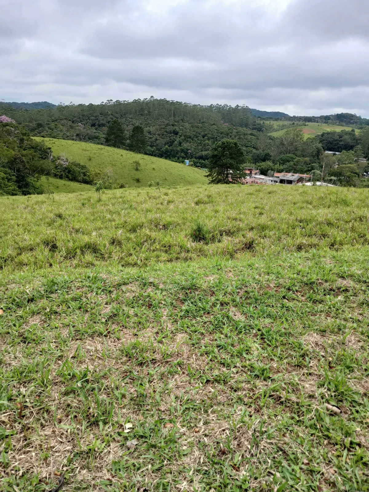 Chácara à venda e para Arrendar de 2.500 m² em São Paulo, SP, Brasil