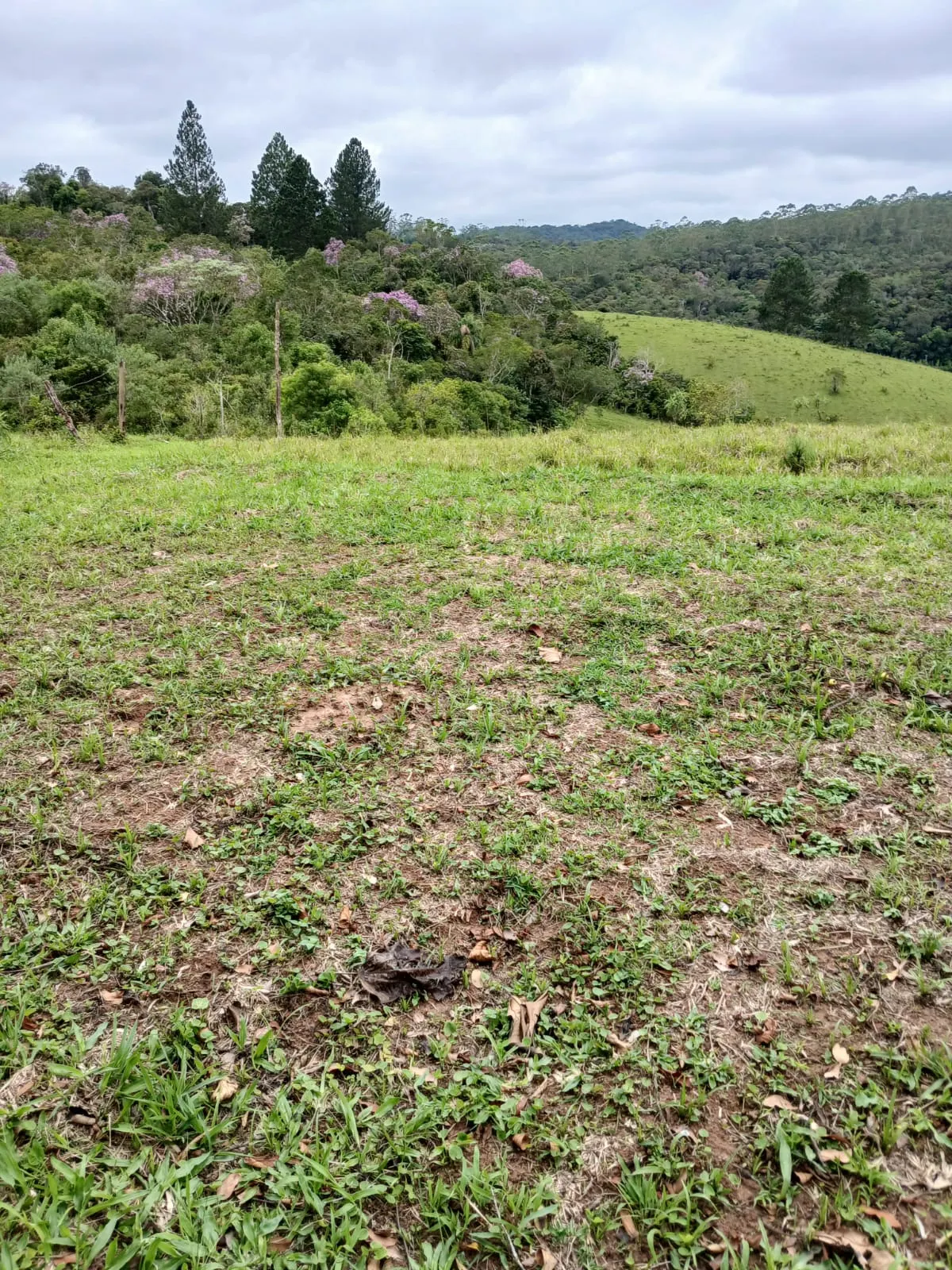 Chácara à venda e para Arrendar de 2.500 m² em São Paulo, SP, Brasil