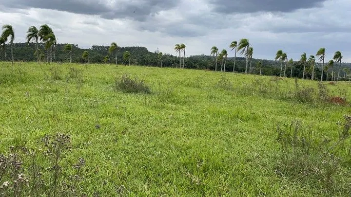 Chácara à venda de 6 ha em Taquara, RS, Brasil