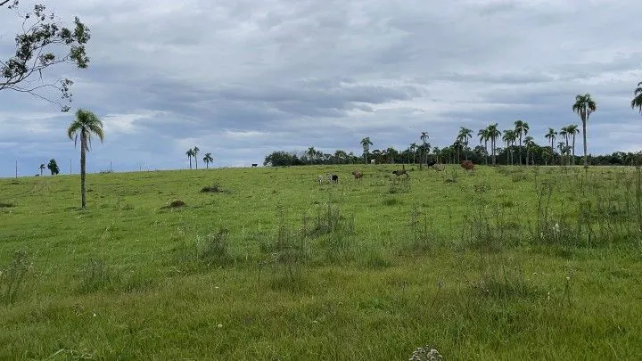Chácara à venda de 6 ha em Taquara, RS, Brasil
