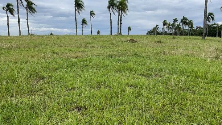 Chácara à venda de 6 ha em Taquara, RS, Brasil
