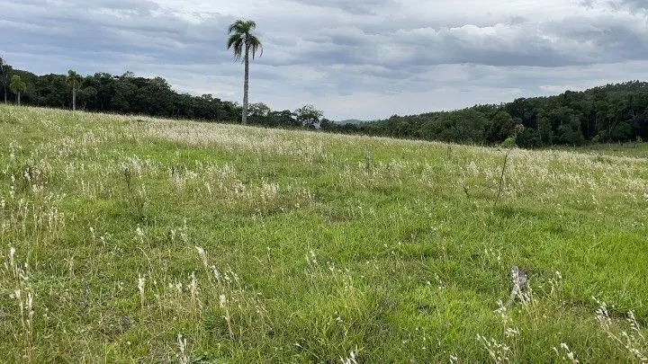 Chácara à venda de 6 ha em Taquara, RS, Brasil