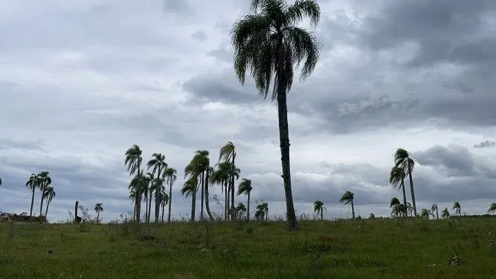 Chácara à venda de 6 ha em Taquara, RS, Brasil