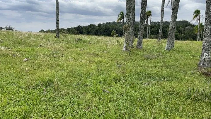 Chácara à venda de 6 ha em Taquara, RS, Brasil