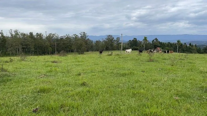 Chácara à venda de 6 ha em Taquara, RS, Brasil