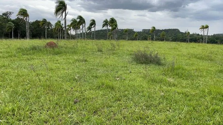 Chácara à venda de 6 ha em Taquara, RS, Brasil