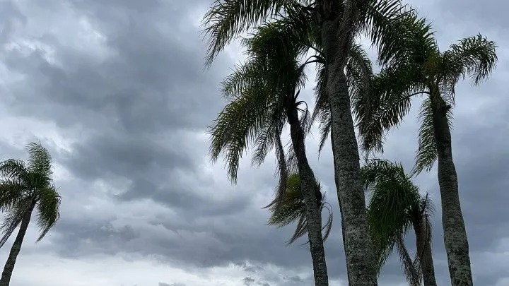 Chácara à venda de 6 ha em Taquara, RS, Brasil