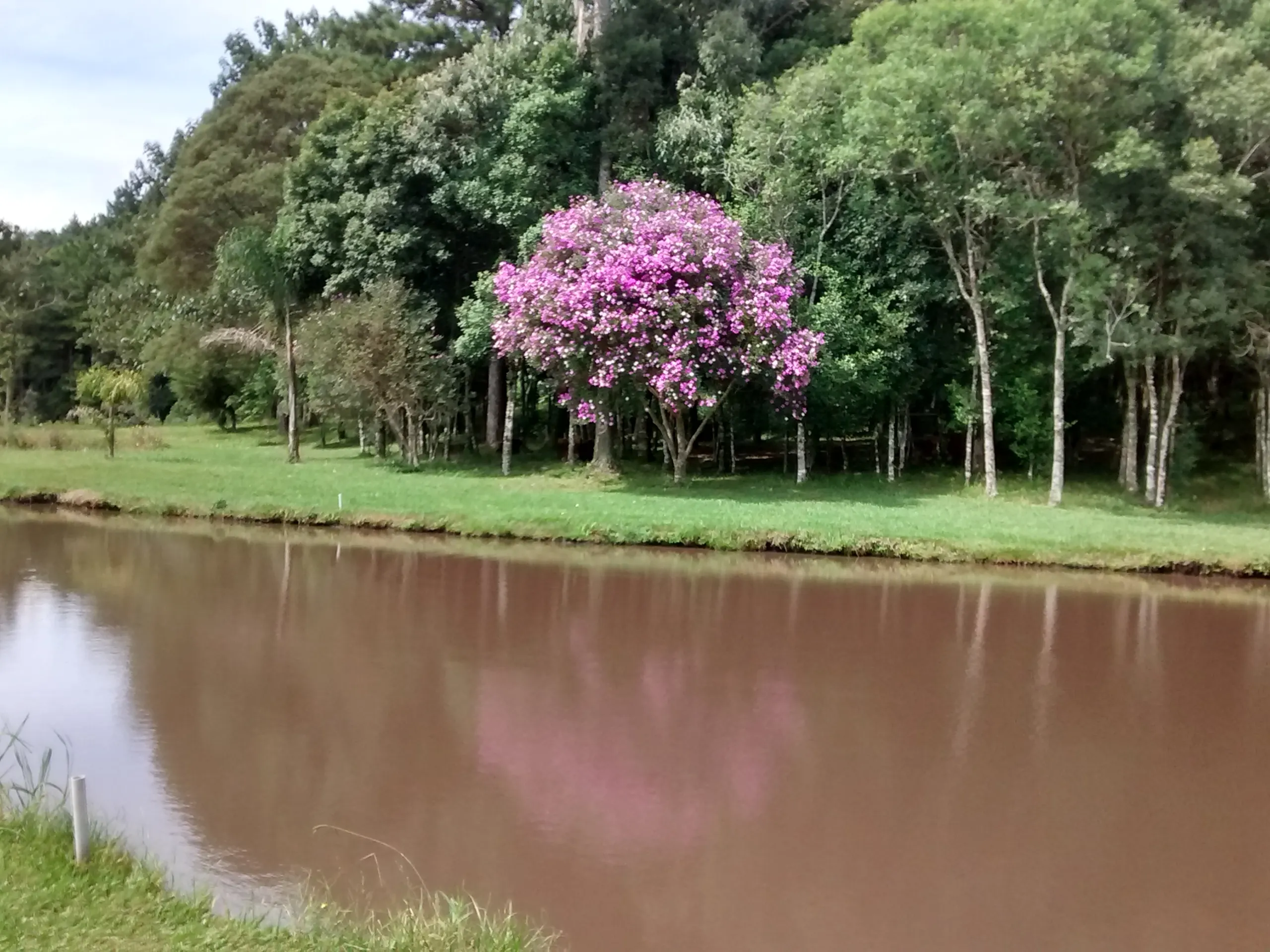 Sítio à venda de 21 ha em Gramado, RS, Brasil