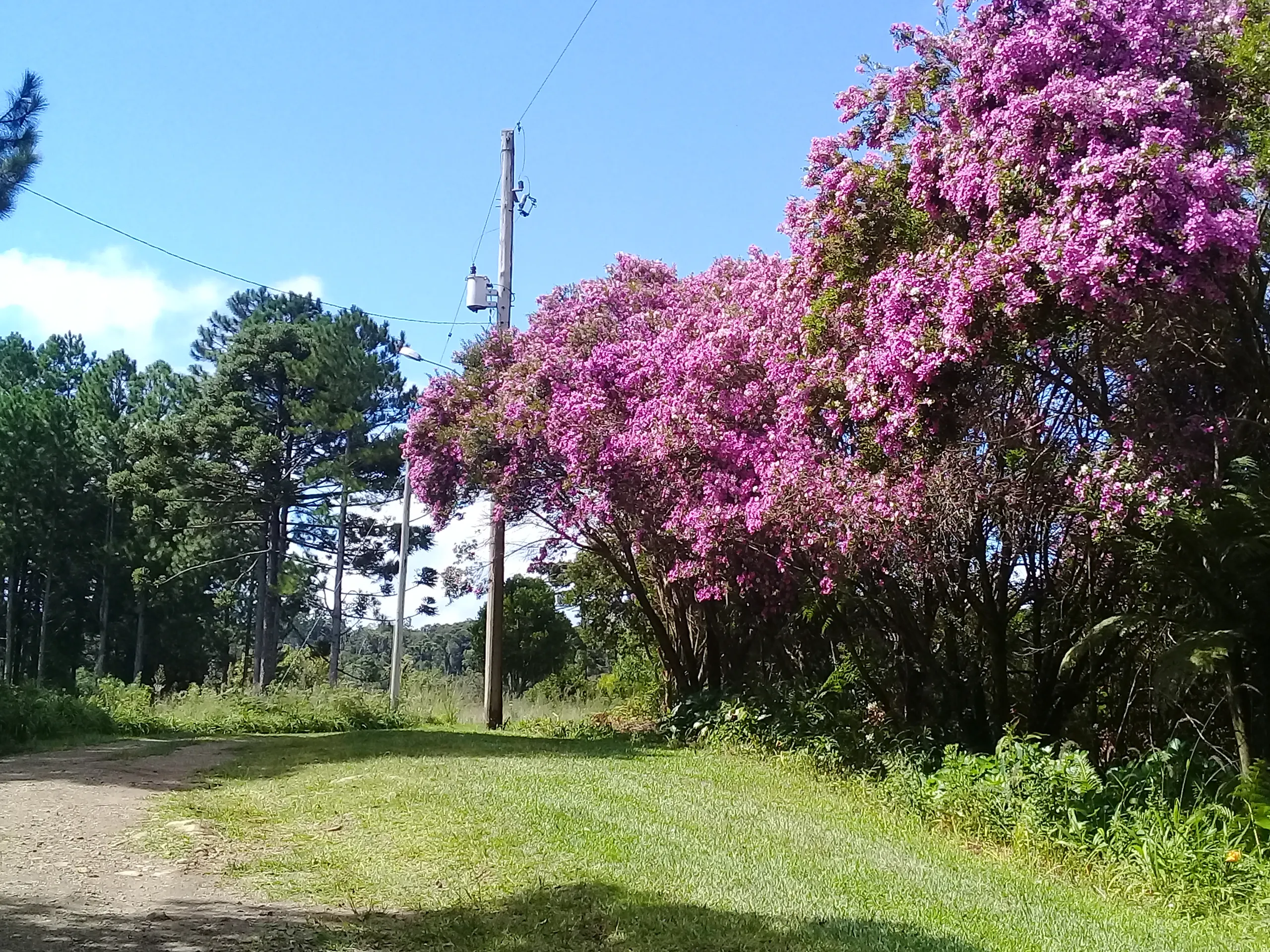 Sítio à venda de 21 ha em Gramado, RS, Brasil