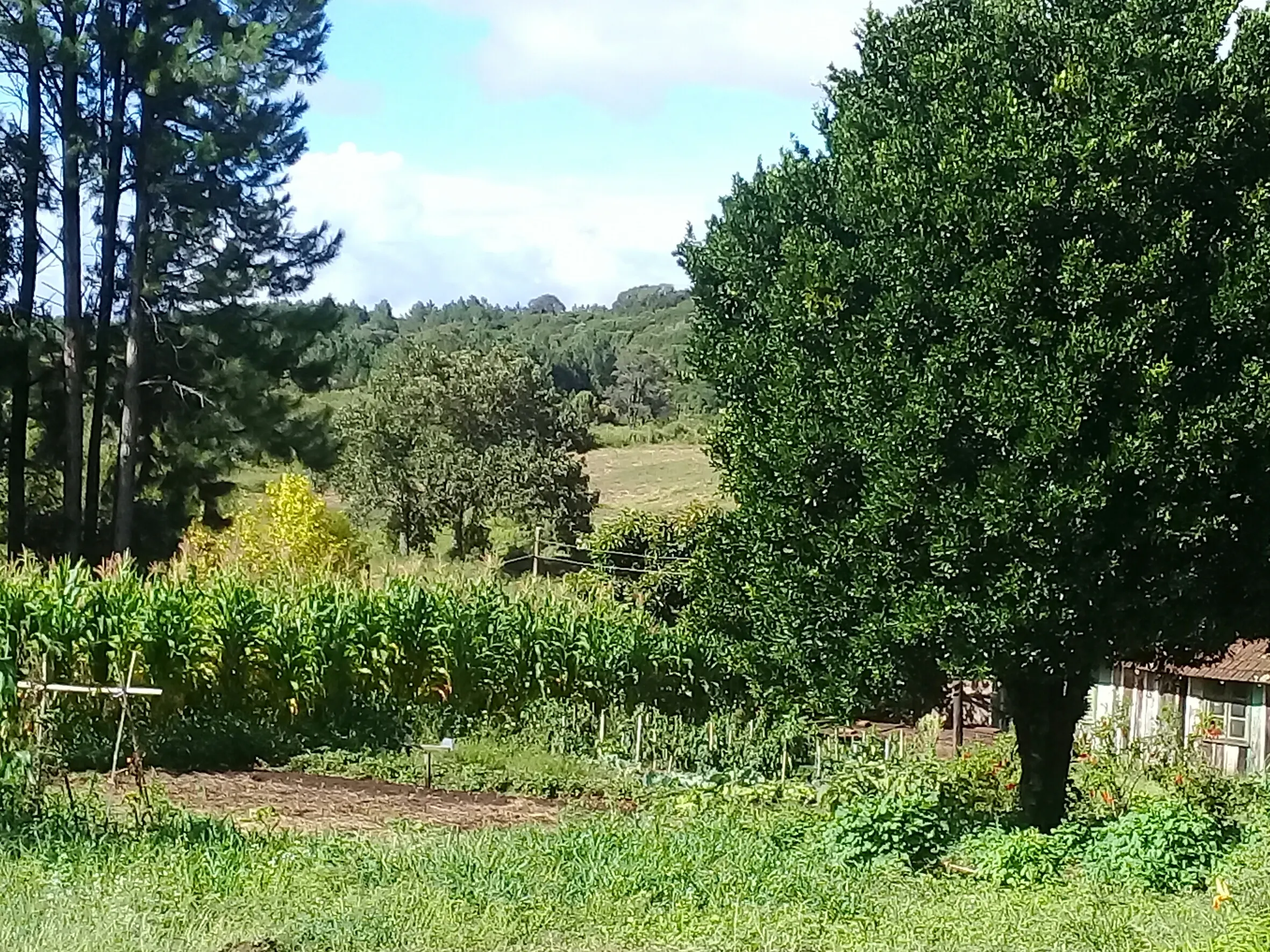 Sítio à venda de 21 ha em Gramado, RS, Brasil