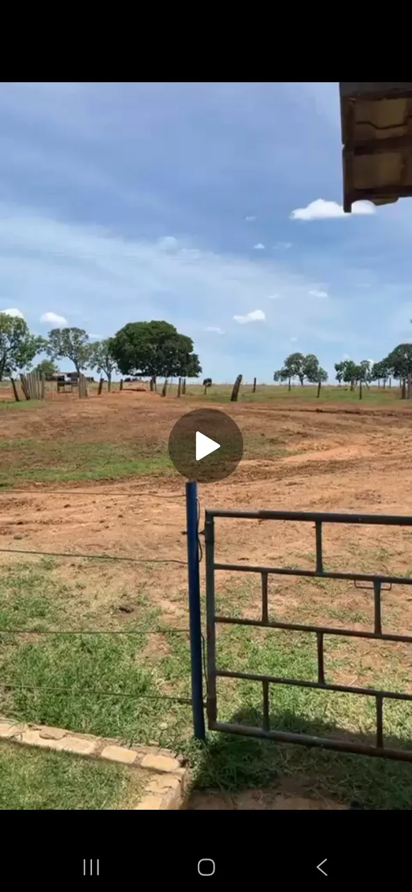Farm for sale of 1,648 acres in João Pinheiro, MG, Brazil