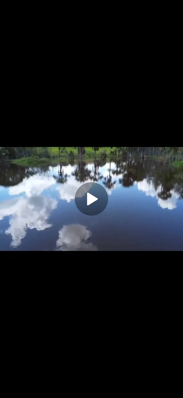 Farm for sale of 1,648 acres in João Pinheiro, MG, Brazil