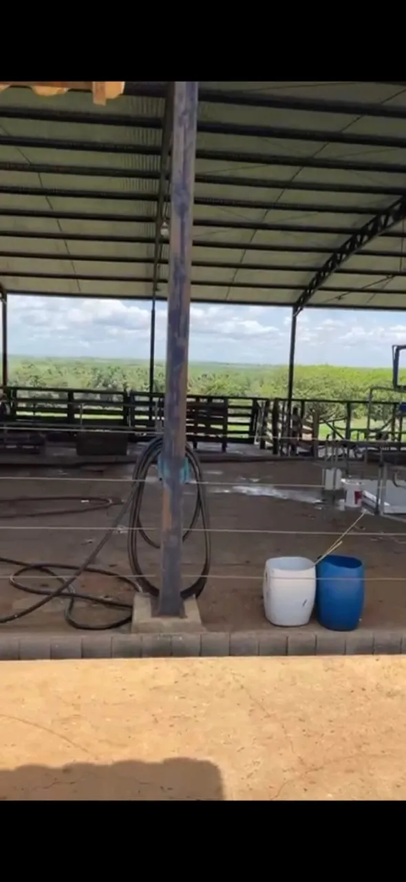 Farm for sale of 1,648 acres in João Pinheiro, MG, Brazil