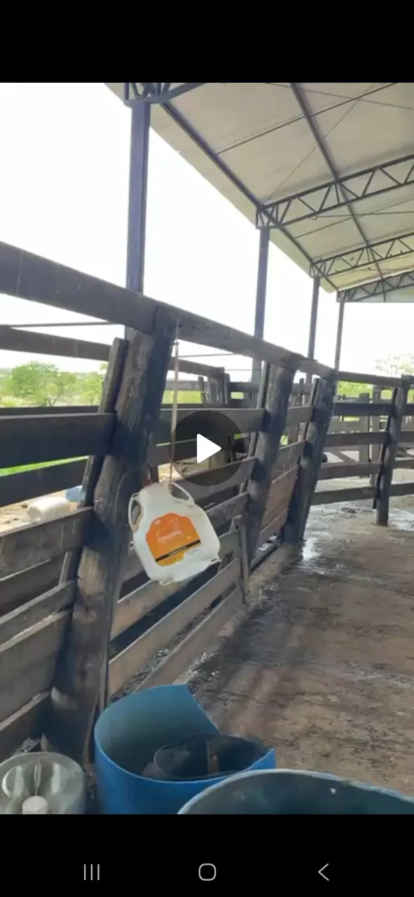 Farm for sale of 1,648 acres in João Pinheiro, MG, Brazil