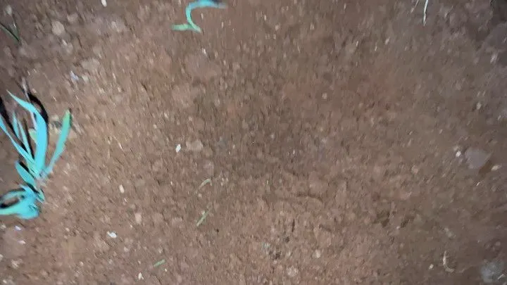 Chácara à venda de 1 ha em Santo Antônio da Patrulha, RS, Brasil
