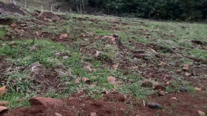 Chácara à venda de 1 ha em Santo Antônio da Patrulha, RS, Brasil