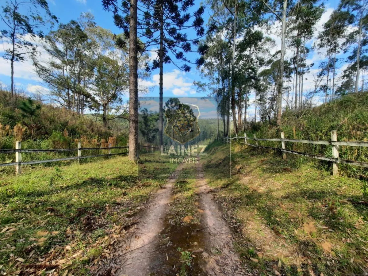 Small farm for sale of 12 acres in Juquitiba, SP, Brazil