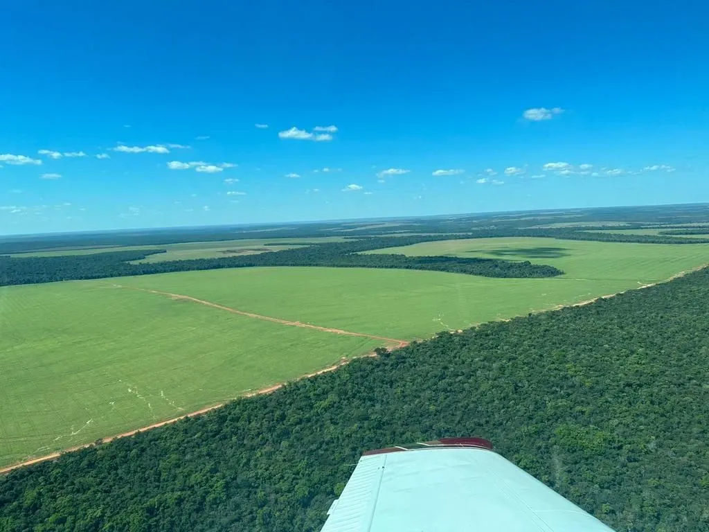 Fazenda à venda de 6.400 ha em Nova Mutum, MT, Brasil
