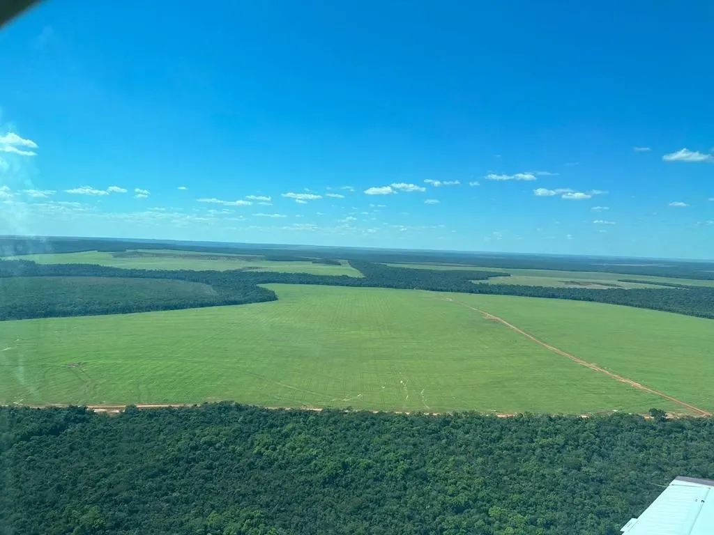Fazenda à venda de 6.400 ha em Nova Mutum, MT, Brasil