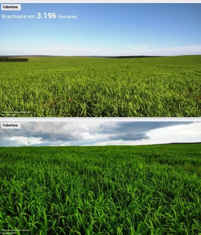 Fazenda à venda de 6.400 ha em Nova Mutum, MT, Brasil