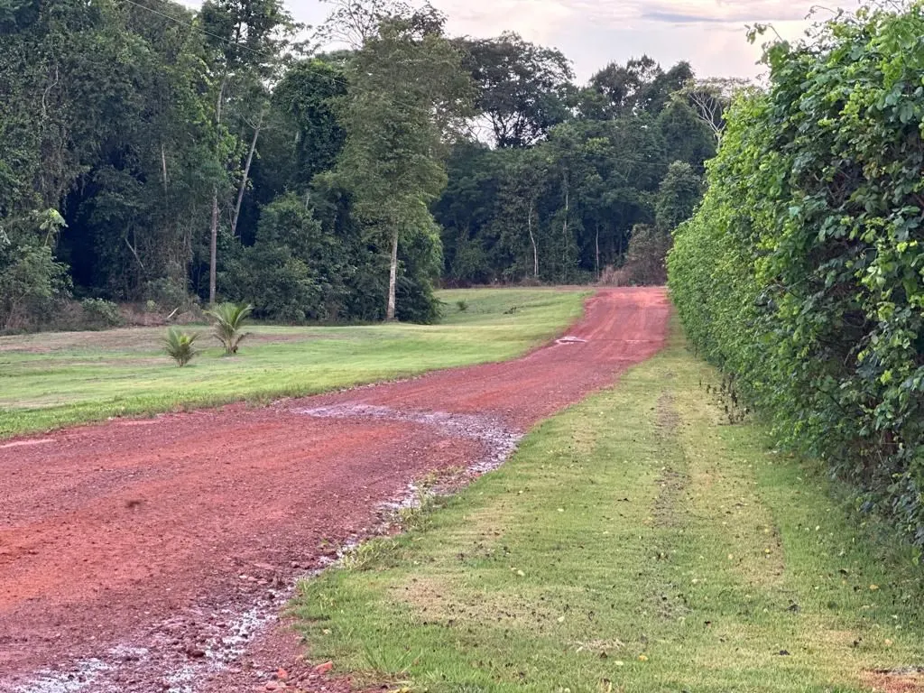 Fazenda à venda de 6.400 ha em Nova Mutum, MT, Brasil