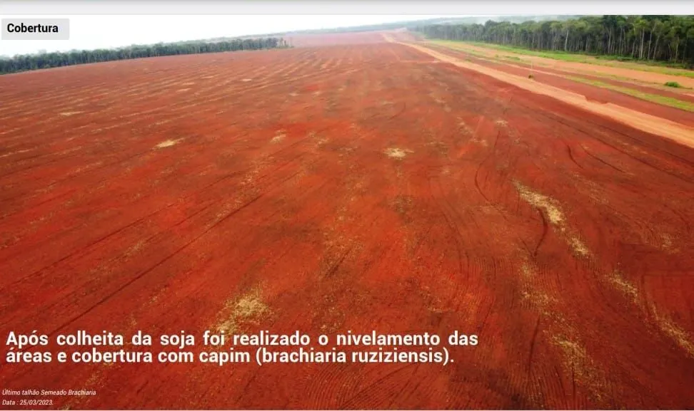 Fazenda à venda de 6.400 ha em Nova Mutum, MT, Brasil