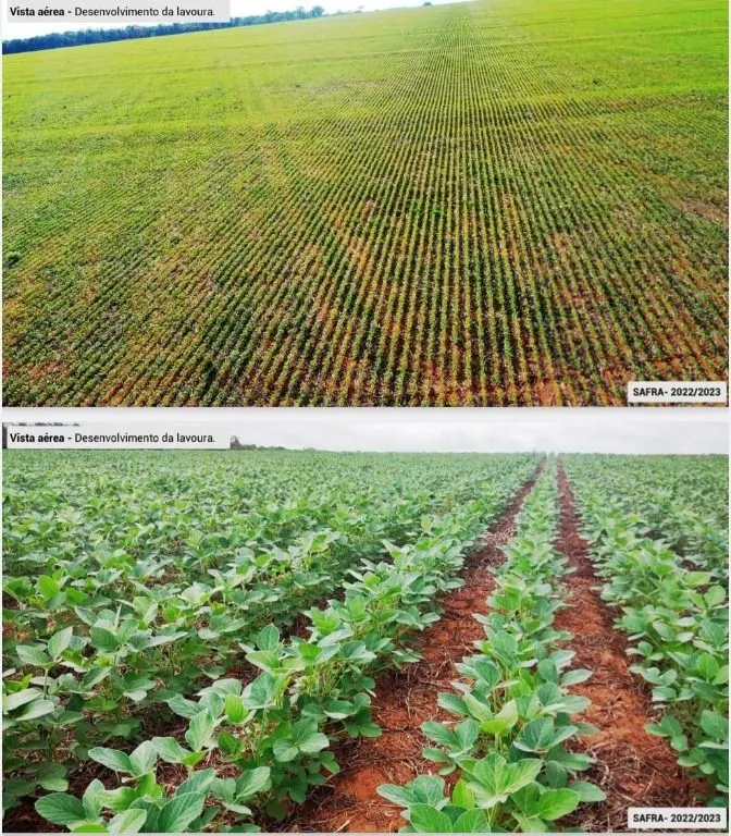Fazenda à venda de 6.400 ha em Nova Mutum, MT, Brasil