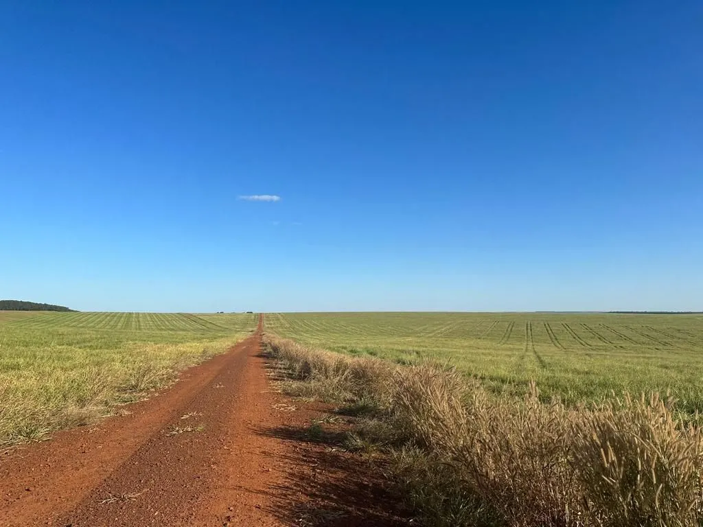 Fazenda à venda de 6.400 ha em Nova Mutum, MT, Brasil