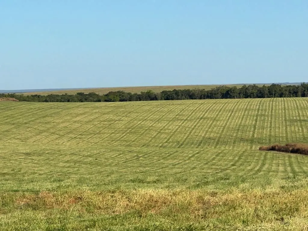 Fazenda à venda de 6.400 ha em Nova Mutum, MT, Brasil