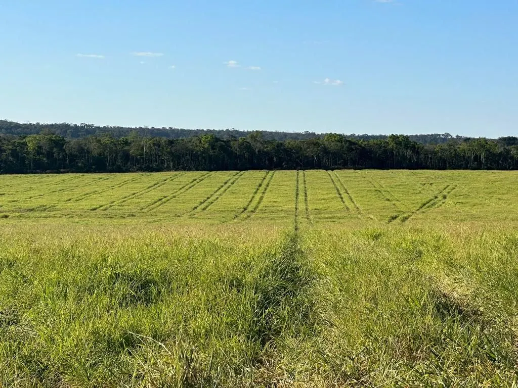 Fazenda à venda de 6.400 ha em Nova Mutum, MT, Brasil