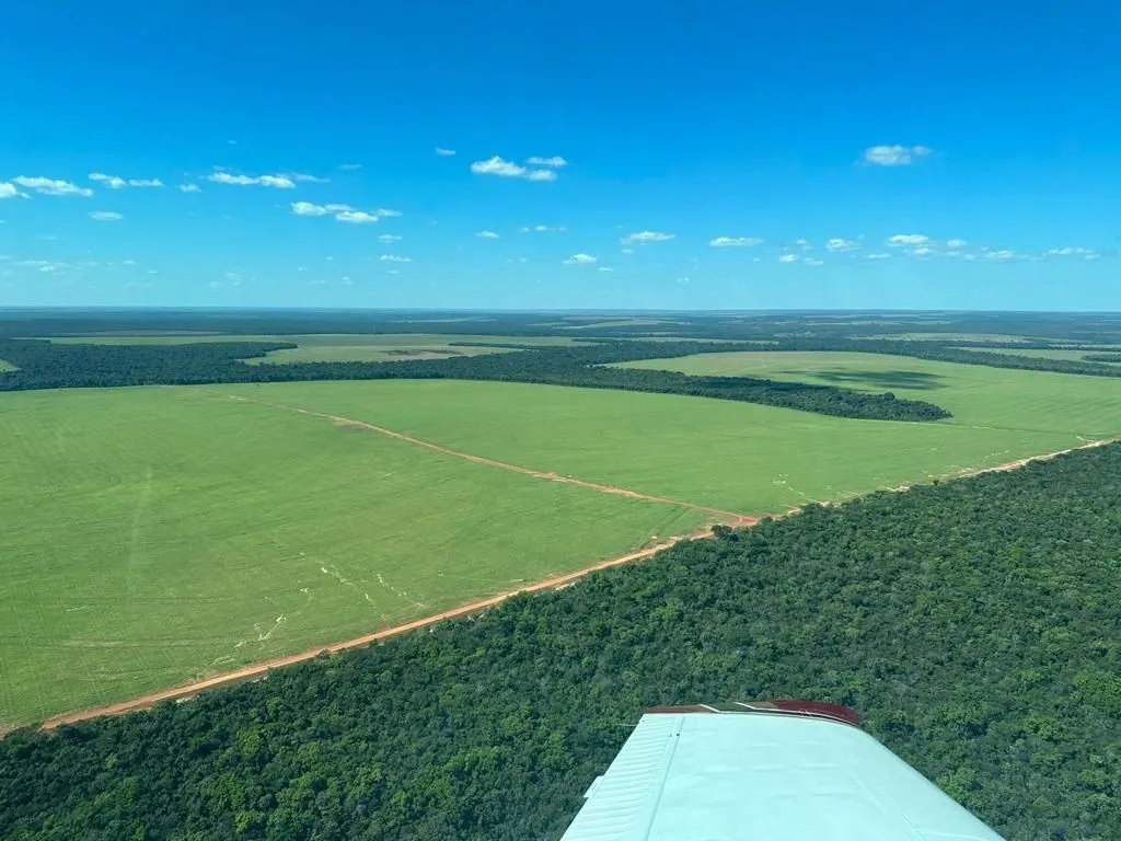 Fazenda à venda de 6.400 ha em Nova Mutum, MT, Brasil