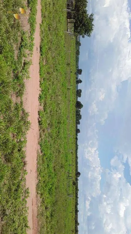 Fazenda à venda de 949 ha em Gaúcha do Norte, MT, Brasil